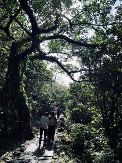  Shaded trail / Tree-lined pathway