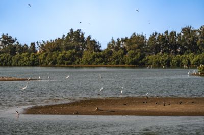 South Budai Wetlands