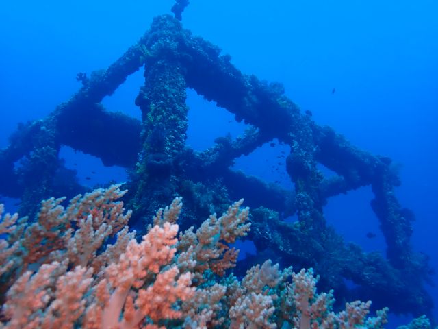 Explore the Digital Archive of Green Island's Featured Dive Sites Steel Reef
