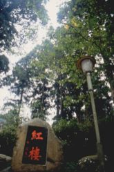  Shitou Forest Recreation Area,Nantou