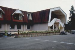  Shitou Forest Recreation Area,Nantou