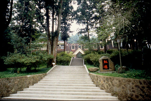  Shitou Forest Recreation Area,Nantou