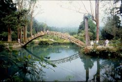  The Famous Pool in Shitou Forest Recreation Area,Nantou