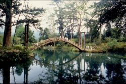  Shitou Forest Recreation Area,Nantou