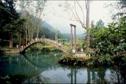  Shitou Forest Recreation Area,Nantou