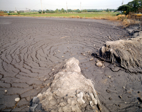  The Mud Volcano in Wandan Shiang, Pingtung