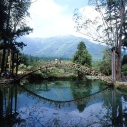  The Famous Pool in Shitou Forest Recreation Area,Nantou