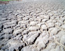  The Mud Volcano in Wandan