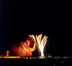  Theme Lantern Fireworks Display - 2005 Taiwan Lantern Festival