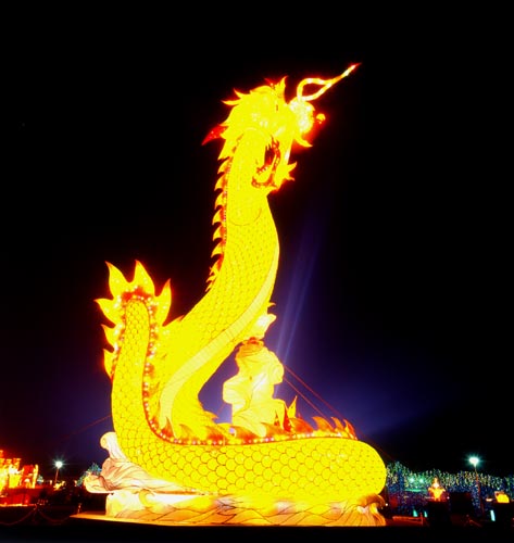  Subsidiary Lantern - 2005 Taiwan Lantern Festival