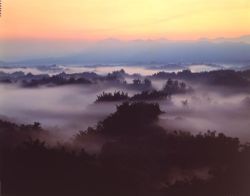  Misty Woods, Zochen