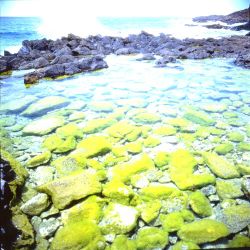  Seashore of Penghu