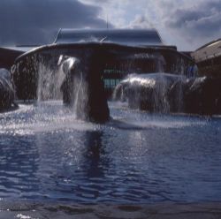  National Museum of Marine Biology and Aquarium