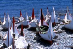  Canoe of dawu