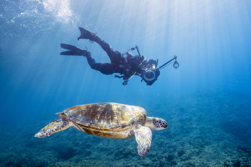  Swimming and Snorkeling with Green Sea Turtles at Xiaoliuqiu