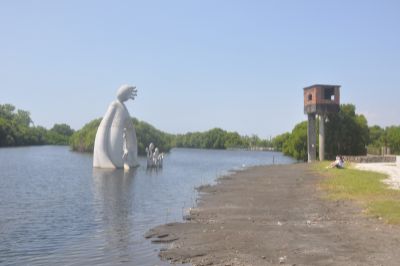  Creator, Peng Village Wetland Park, Dapeng Bay National Scenic Area