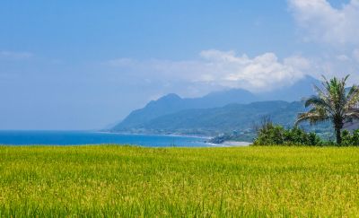  Xinshe Sea Terrace, Fengbin Township, Hualien