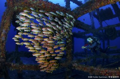  Steel Reef, Green Island Dive Site (Courtesy of East Coast National Scenic Area Administration. Photo by Yorko Summer)