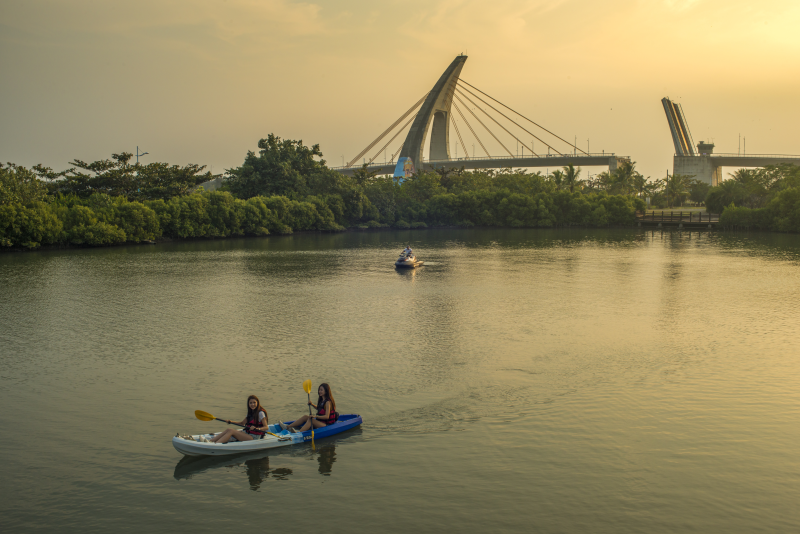  Canoes by the Pengwan Sea Crossing Bridge, Mangrove Wetland Park, Dapeng Bay National Scenic Area