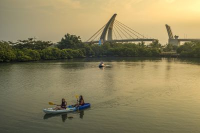  Canoes by the Pengwan Sea Crossing Bridge, Mangrove Wetland Park, Dapeng Bay National Scenic Area