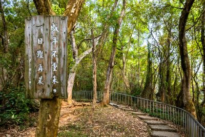  Tianzhong Forest Park Billboards