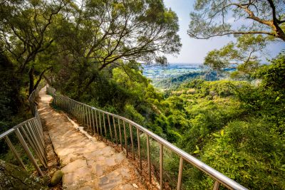  Tianzhong Forest Park view