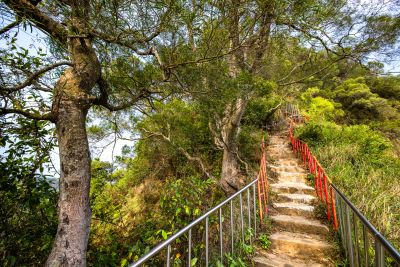  Tianzhong Forest Park Hiking trail