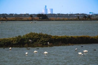  South Budai Wetlands