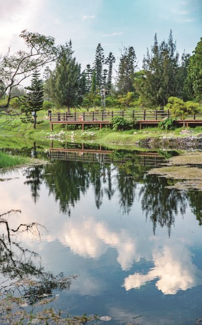Travel In Taiwan 臺灣觀光月刊英文版—2024.Nov-Dec 台東_台東森林公園_季子弘攝