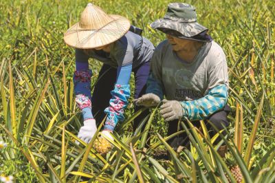 Travel In Taiwan 臺灣觀光月刊英文版—2024.Nov-Dec 台東_饗嚮台東_陳正國攝