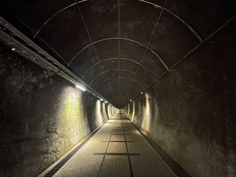 圖片1: 舊草嶺自行車隧道 (共1張)