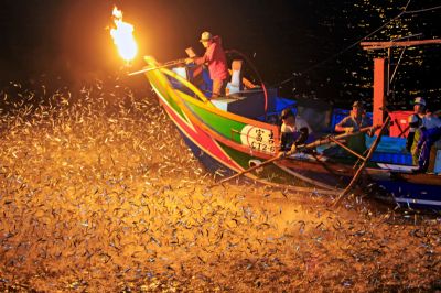 2019北觀國家風景區采風攝影徵件活動 [人文風情-佳作]火蹦亂跳-楊景森