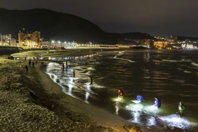 2019北觀國家風景區采風攝影徵件活動 [人文風情-優選]捕鰻苗-余筱蓮