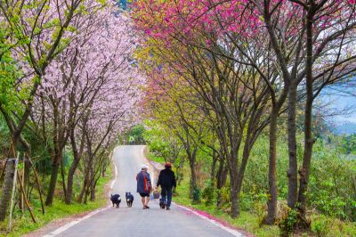 2019北觀國家風景區采風攝影徵件活動 [自然景觀-佳作]幸福的居民-李淑華