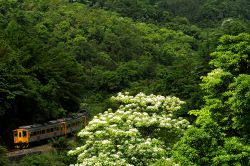  山中鐵道