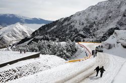  一起去看雪