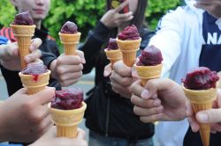  仙人掌好滋味