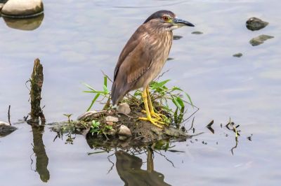  乾溪自行車道生態