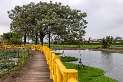  乾溪自行車道步道