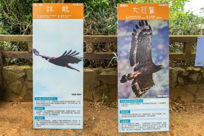  橫山賞鷹平台介紹看板