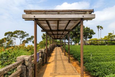  橫山賞鷹平台步道