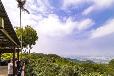  橫山賞鷹平台側拍