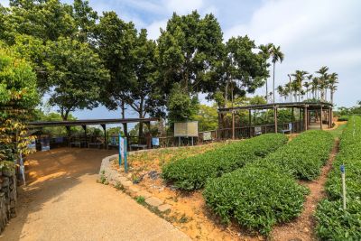  橫山賞鷹平台照片