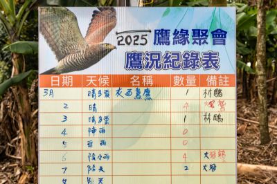  橫山賞鷹平台鷹況紀錄表