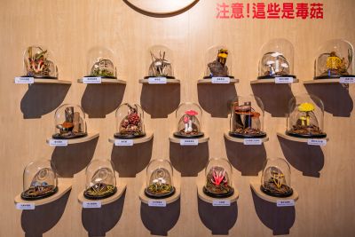  霧峰菇類產學館毒菇介紹