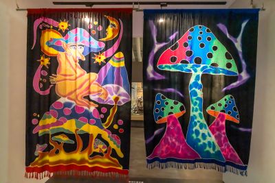  霧峰菇類產學館菇類彩繪