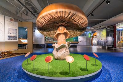  霧峰菇類產學館裝置藝術