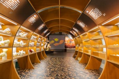  霧峰菇類產學館館內