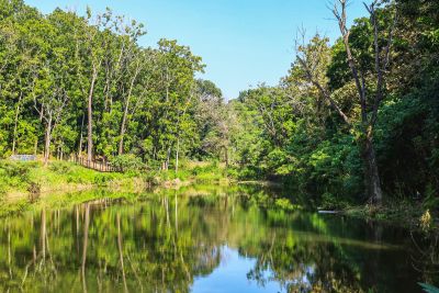  中興林場大目降埤