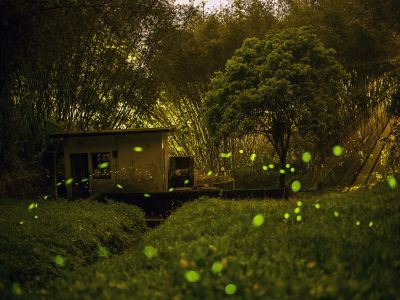  2026日月潭星光螢火季